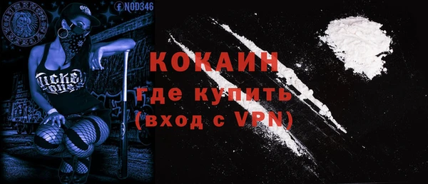 дмт Гусь-Хрустальный