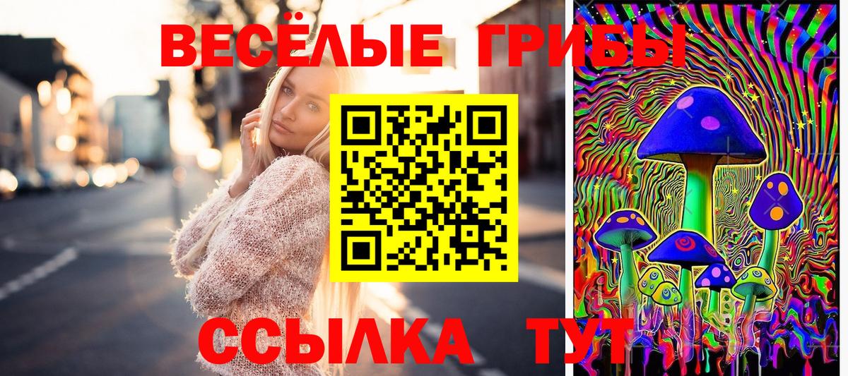 Псилоцибиновые грибы Magic Shrooms Мценск